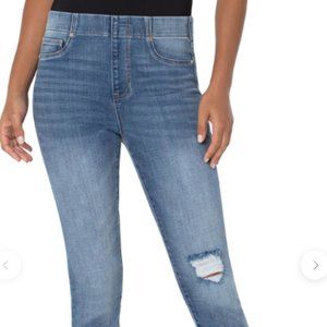Liverpool Johnson Chloe Ankle Skinny Jeans